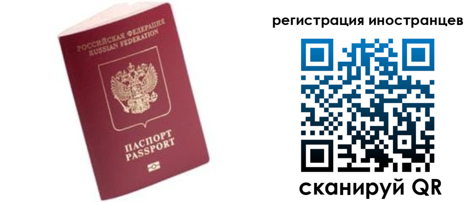 прописка гарантия в Бердске